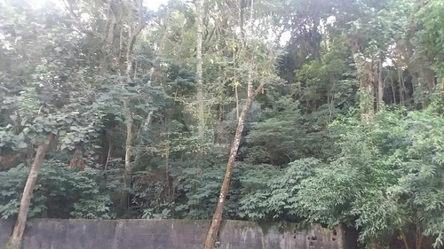 Imagem 6 de 30 de Excelente Oportunidade Para Construção De Alto Padrão - Reo323981