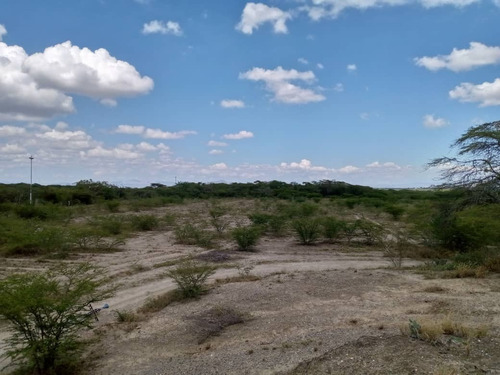 Vendo Terreno En Quibor , Sector Cuara , Listo Para Siembra, 4 Hectáreas, Laguna, Fácil Acceso Cod. 25- 6570 Mz