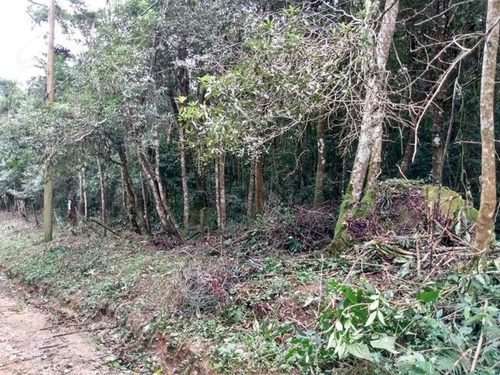 Imagem 3 de 4 de Terreno Para Venda, 1518.0 M2, Graça-caucaia Do Alto - Cotia - 22999