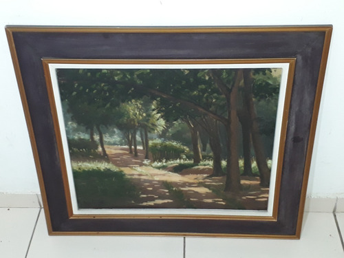 2025- Newton Costa Ost 73x65cm C/moldura. Trilha Na Mata. (Usado)