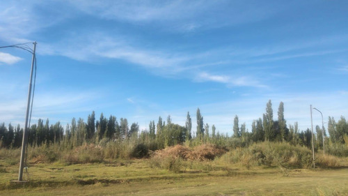 Terreno En Fideicomiso Cinco Saltos
