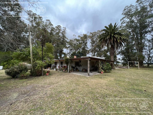Imagen 2 de 17 de 5 Has En Veronica - Chacra En Venta Con Importante Arboleda