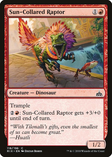 Carta Magic Sun-collared Raptor X 4 Unidades Playset Mtg