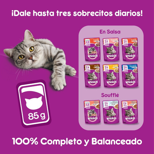Whiskas Alimento Húmedo Gatitos Carne Salsa Sobre 12un