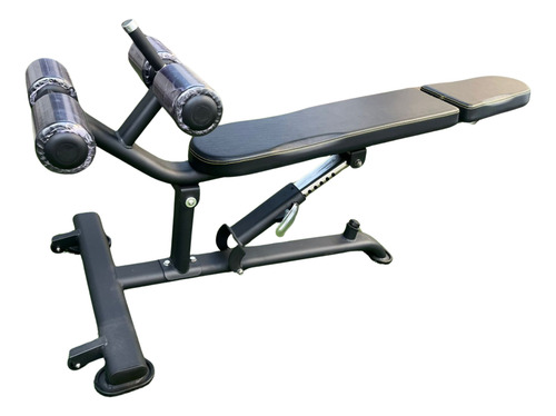 Banco Para Abdominales Profesional Fitness