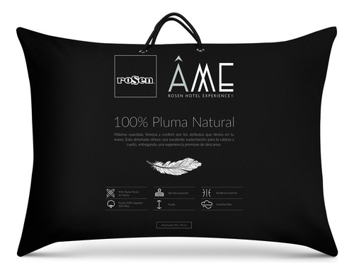Rosen Almohada Pluma Natural Ame 90% Wgd Americana 50x70 Cm Color Blanco
