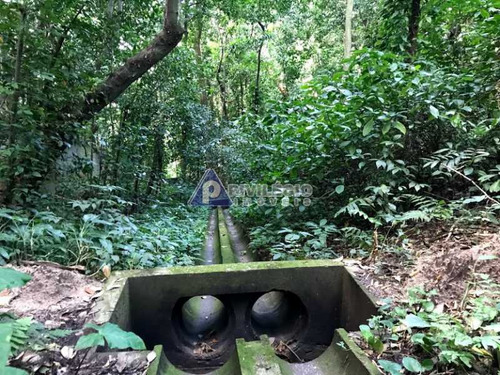 Imagem 11 de 17 de Terreno No Cosme Velho - 12131