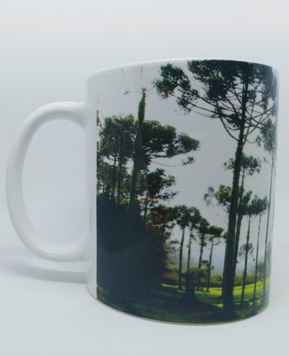 Caneca Lembrança De Curitiba - Árvore De Araucária -