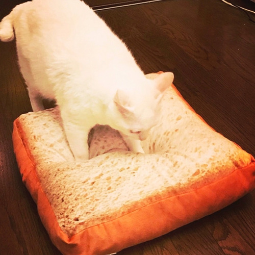 Cama Para Gato Cojín Almohada Forma Pan Felpa Suave Esponjos