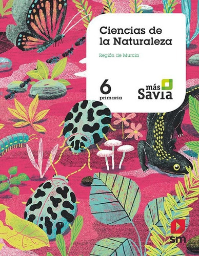 Ciencias de la naturaleza. 6 Primaria. MÃÂ¡s Savia. Murcia, de Equipo Editorial SM. Editorial EDICIONES SM, tapa blanda en español