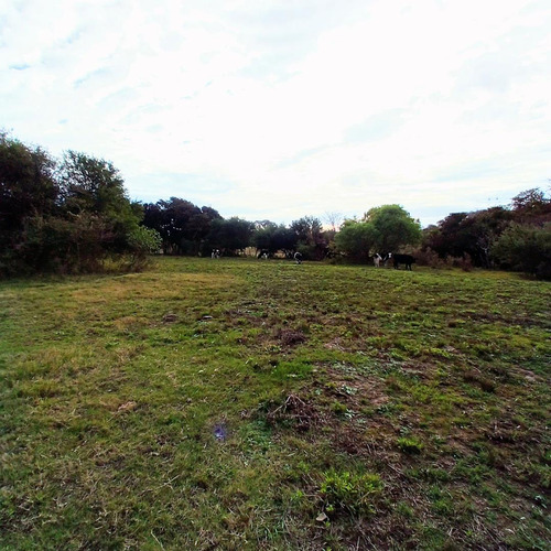 Imagen 6 de 16 de Venta Chacra De 7 Ha. En Zona De Gran Potencial