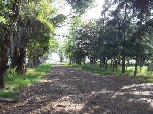 Imagen 4 de 5 de 7,5 Has, Con Frente Ruta Nº 58, Intersección Con Ruta Nº 16