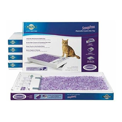 Recambios De Arenilla Para Gatos Scoopfree (paquete De 6)