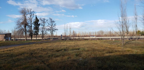 Imagen 17 de 24 de Predio 2500 M2- Galpon 150 M2 - Ofi 100 M2 - Ruta 22 Cipo