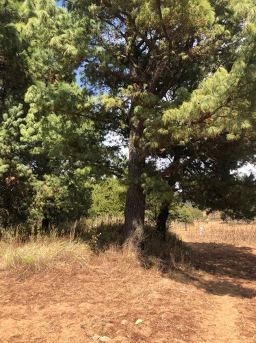 Imagen 11 de 24 de Terreno En Venta En Amanalco De Becerra, Amanalco, Edo. De México.