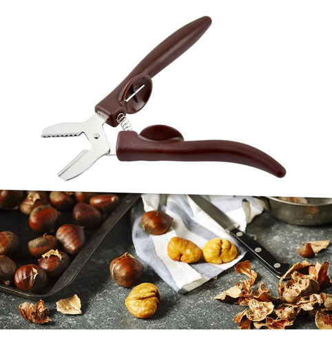 Clip Con Forma De Castaña Abridor De Castañas Abrazadera