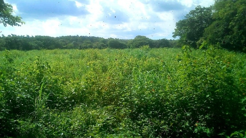 Imagen 5 de 12 de 4 Mzs San Rafael Del Sur - Managua