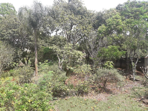 Imagem 3 de 24 de Chácara Formada Em Piracaia, Totalmente Plana Espaço Para Piscina E Campo De Futebol. - Ch0067