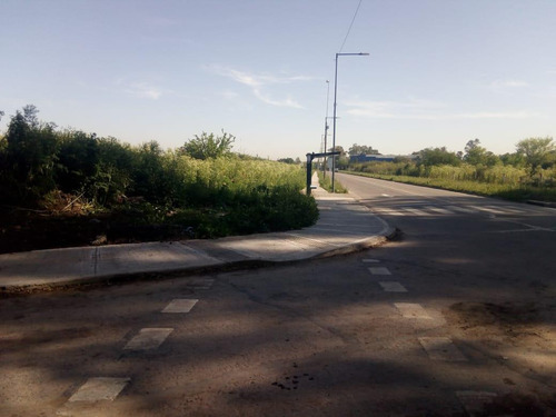 Imagen 8 de 12 de Terreno - Longchamps