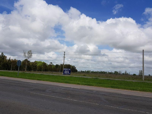 Campo En Venta En Ruta 2 Km. 63 La Plata - Alberto Dacal Propiedades