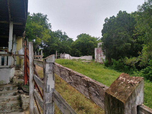 Venta Rancho 109 Has Autopista A Tampico En Tamiahua Veracruz