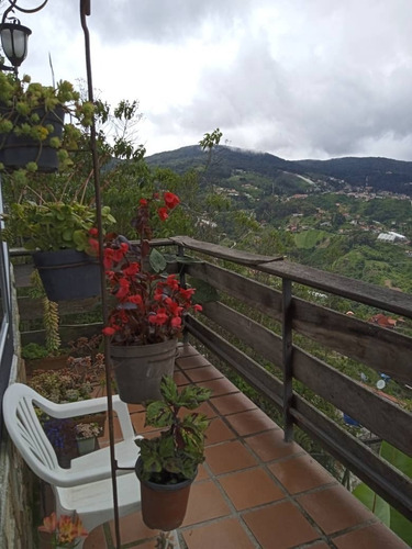 Imagen 11 de 16 de Chalet Colonia Tovar Cerca Del Pueblo
