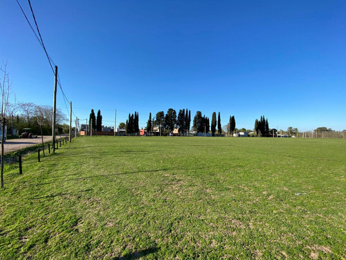 Terreno En Venta En Lobos