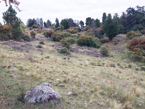 Imagen 1 de 7 de Especaulares 2.2 Ha En Villa Berna!!!445