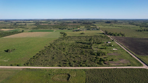 Imagen 11 de 20 de Campo - Colón