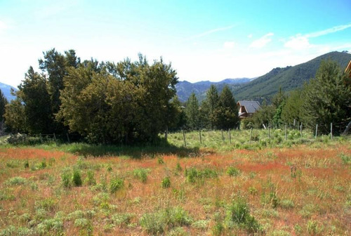 Imagen 3 de 7 de Fabienne Edelberg Fe Propiedades Venta Oportunidad Lote Venta Meliquina Mza O1 1000 M2