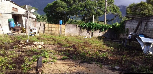 Imagem 5 de 5 de Terreno Terreno Rural Caraguatatuba - Sp - Pegorelli - Zch20
