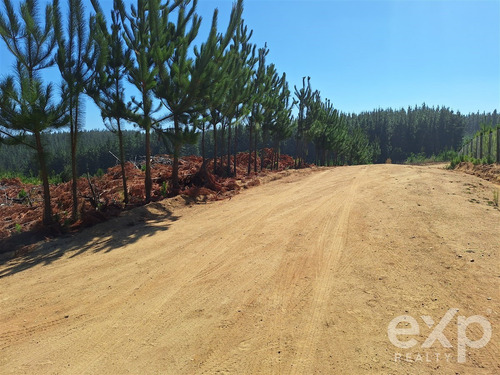 Sitio Vista Amplia En Venta En Pichilemu