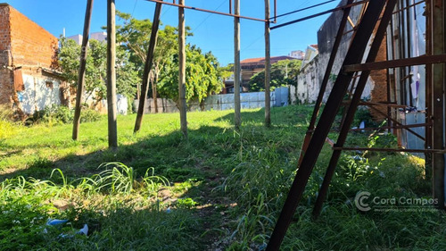 Imagen 3 de 6 de Se Vende Gran Terreno En Costanera De Posadas, Ideal Edificio.