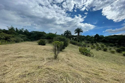 Lote En Venta En Anapoima. Cod V7450