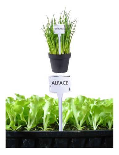 Kit 50 Plaquinhas 22cm Para Identificação De Plantas Hortas