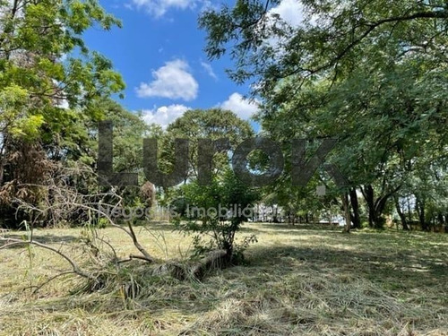 Imagem 4 de 10 de Terreno À Venda Em Vale Verde - Te006031