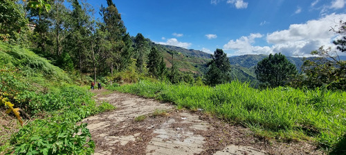 Gran Lote De Terreno En Urbanización Cerrada