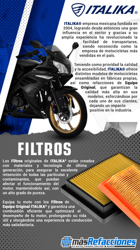 Elemento Filtro Aire Italika Original Cs125 Dsg125 Vgo125 +
