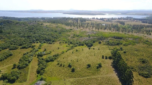 Chacra En La Pataia, Punta Ballena