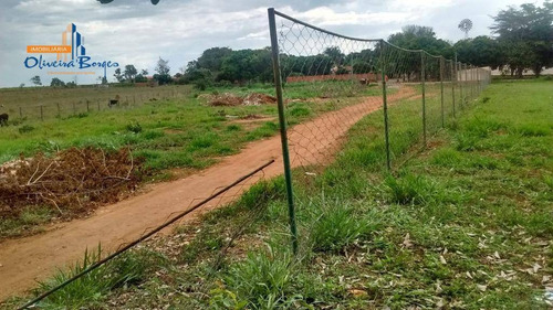 Imagem 2 de 17 de Terreno À Venda, 11000 M² Por R$800.000,00 - Zona Rural (joanápolis) Go - Te0409