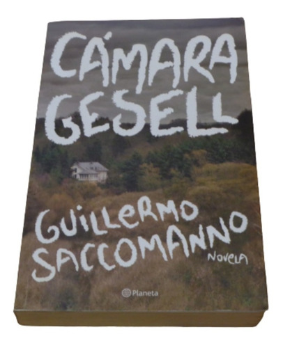 Camara Gesell. Guillermo  Saccomanno. Planeta Formato Grande