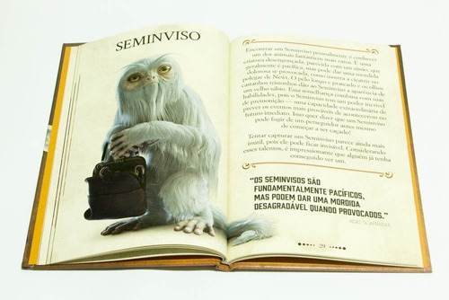 Animais Fantásticos E Onde Habitam - Guia Cinematográfico