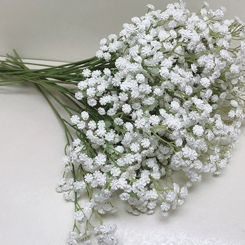 Sementes Da Flor Mosquitinho Branco Ideal P/ Arranjo Natural | MercadoLivre