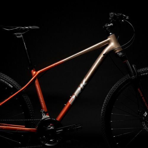Mountain Bike Andrómeda R29 24v
