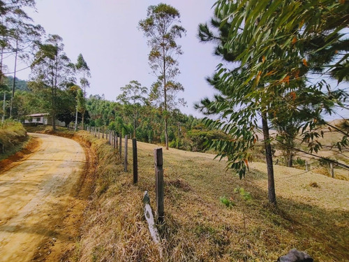 Imagem 10 de 19 de Terreno Escriturado À Venda Em Piracaia/sp - 1000 - 34968879