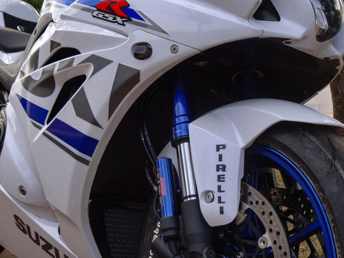Imagem 4 de 8 de Gsx R1000 Raz