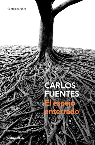 Libro: El Espejo Enterrado The Buried Mirror (spanish Editio