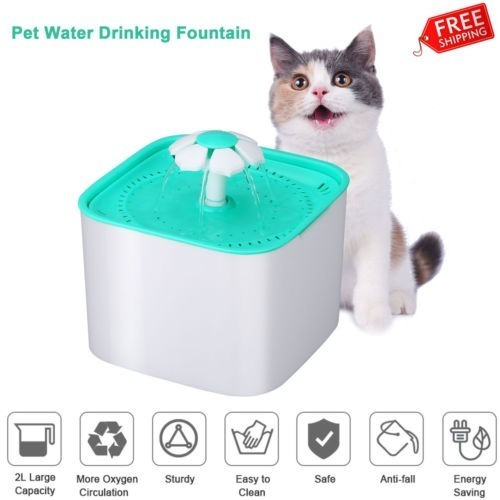 Imagen 1 de 5 de Perros Gatos Mascotas Bebedero Automático Intestino Filtro D
