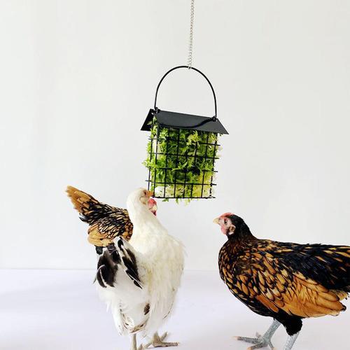 Comedero Colgante Sebo Jaula Soporte Para Gallinas Pollo