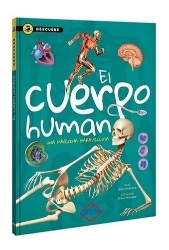 Libro Infantil Descubre El Cuerpo Humano